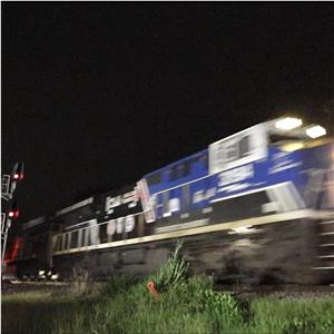 Photo 147768