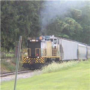 Photo 148424