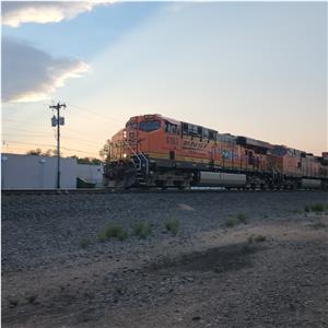 Photo 148435