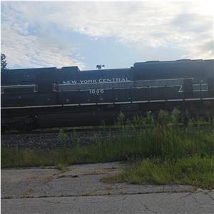 Photo 148442