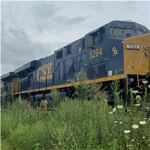 Photo 149166