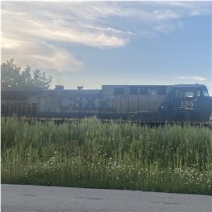 Photo 149202