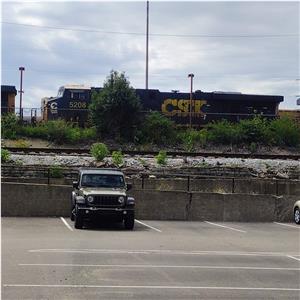 Photo 149364