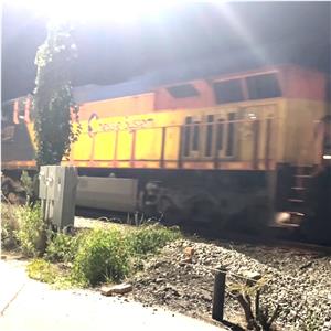 Photo 149597