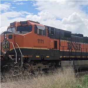 Photo 149681