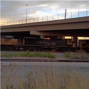 Photo 149719