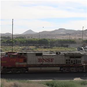 Photo 149781