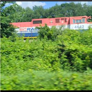 Photo 149864