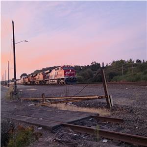 Photo 149924