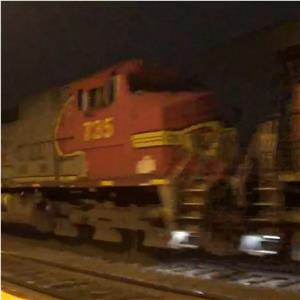 Photo 151357