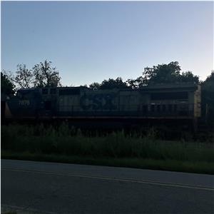 Photo 151981