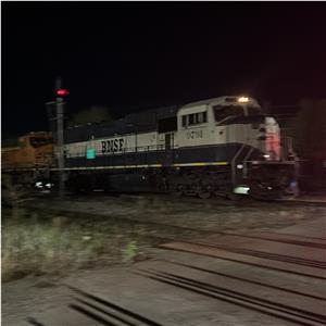 Photo 152781