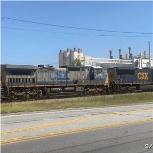 Photo 153379