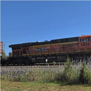Photo 154017