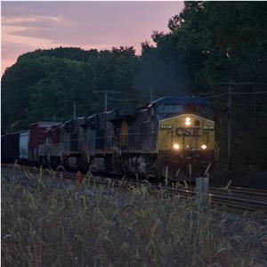 Photo 154277