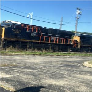 Photo 154363