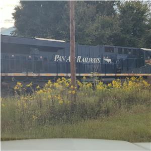 Photo 154396