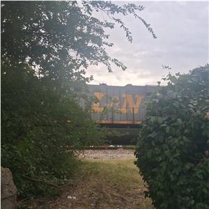 Photo 154807