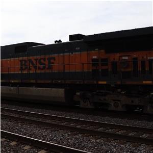 Photo 154982