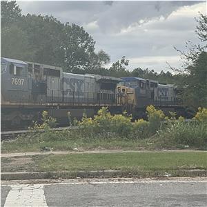 Photo 155003