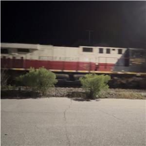 Photo 155153