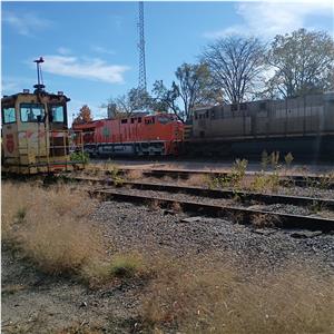 Photo 155398