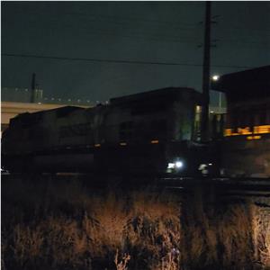 Photo 155479