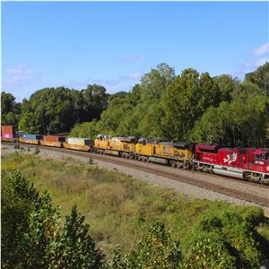 Photo 155484