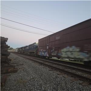Photo 155506