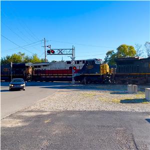 Photo 155772