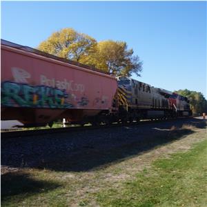 Photo 155820