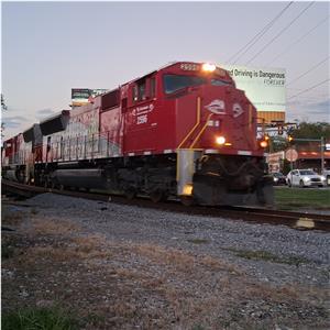 Photo 155842