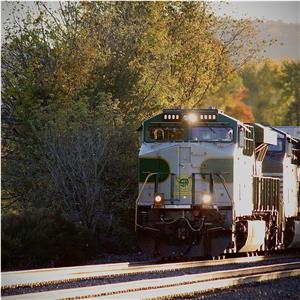 Photo 155872