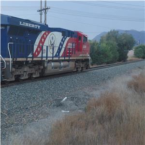 Photo 156083