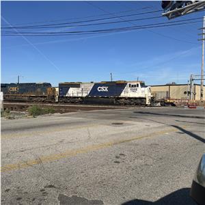 Photo 156239