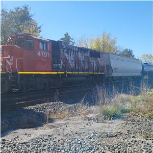 Photo 156263