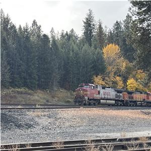 Photo 156542