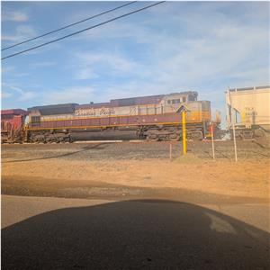Photo 156587