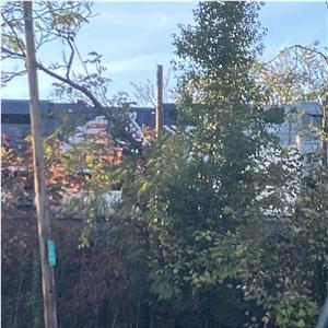 Photo 156631