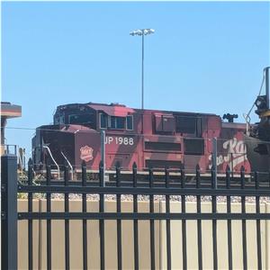 Photo 156747