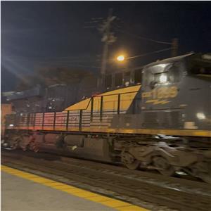 Photo 156751