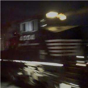 Photo 156787