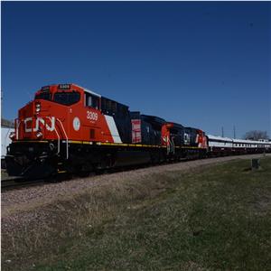 cn9393